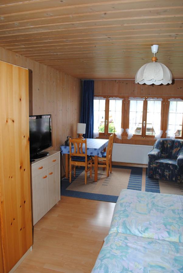 Studio Glaus Apartment Wilderswil Ngoại thất bức ảnh