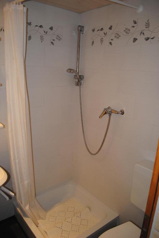 Studio Glaus Apartment Wilderswil Phòng bức ảnh