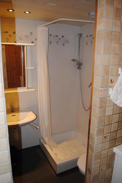 Studio Glaus Apartment Wilderswil Phòng bức ảnh