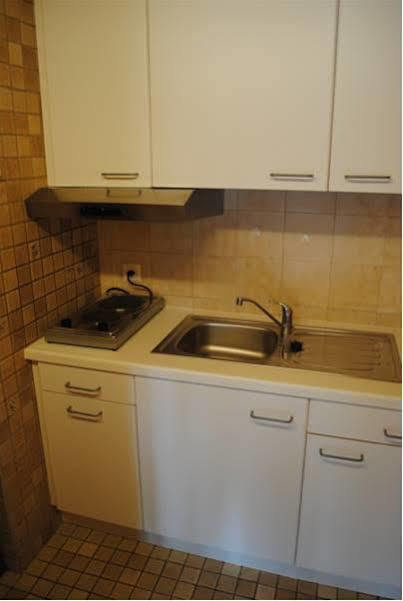Studio Glaus Apartment Wilderswil Ngoại thất bức ảnh